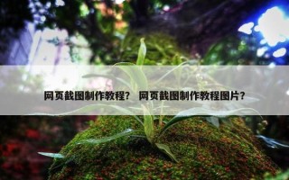 网页截图制作教程？ 网页截图制作教程图片？