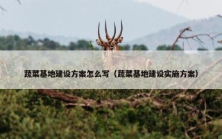 蔬菜基地建设方案怎么写（蔬菜基地建设实施方案）