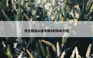 优化排名bi金手指4的简单介绍