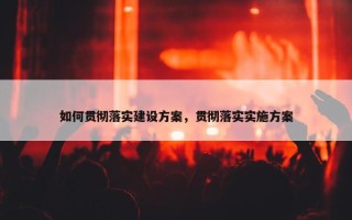 如何贯彻落实建设方案，贯彻落实实施方案