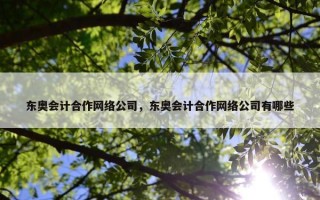 东奥会计合作网络公司，东奥会计合作网络公司有哪些