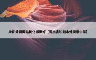 沁阳外贸网站优化哪里好（河南省沁阳市外国语中学）