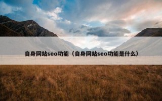 自身网站seo功能（自身网站seo功能是什么）