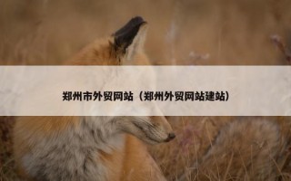 郑州市外贸网站（郑州外贸网站建站）