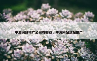 宁波网站推广公司有哪些，宁波网站建站推广