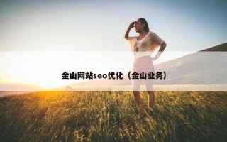 金山网站seo优化（金山业务）