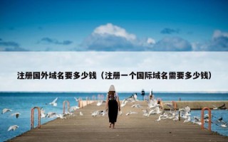 注册国外域名要多少钱（注册一个国际域名需要多少钱）
