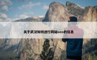 关于武汉如何进行网站seo的信息