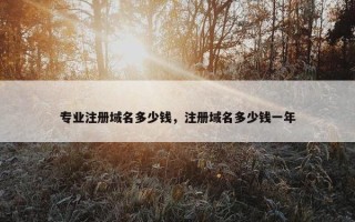 专业注册域名多少钱，注册域名多少钱一年