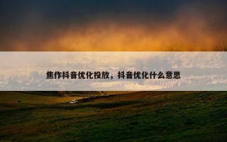 焦作抖音优化投放，抖音优化什么意思