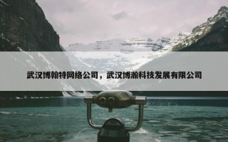 武汉博翰特网络公司，武汉博瀚科技发展有限公司