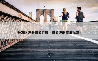 开发区注册域名价格（域名注册费用标准）
