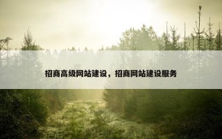 招商高级网站建设，招商网站建设服务