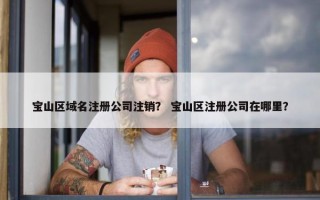 宝山区域名注册公司注销？ 宝山区注册公司在哪里？
