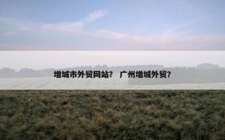 增城市外贸网站？ 广州增城外贸？