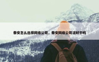 泰安怎么选择网络公司，泰安网络公司活好干吗
