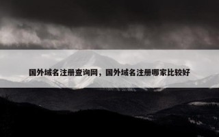 国外域名注册查询网，国外域名注册哪家比较好