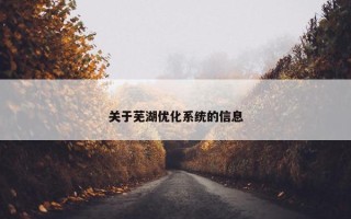 关于芜湖优化系统的信息
