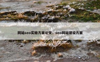 网站seo实施方案论文，seo网站建设方案