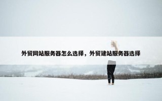 外贸网站服务器怎么选择，外贸建站服务器选择