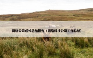 网络公司成长总结报告（网络科技公司工作总结）