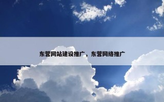 东营网站建设推广，东营网络推广