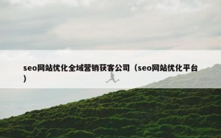 seo网站优化全域营销获客公司（seo网站优化平台）