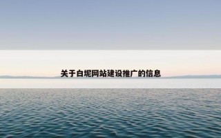 关于白坭网站建设推广的信息