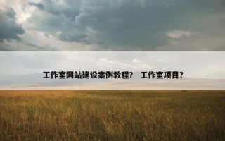 工作室网站建设案例教程？ 工作室项目？
