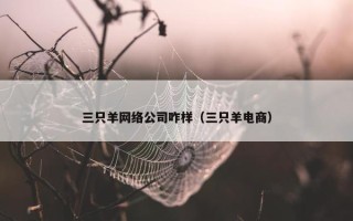 三只羊网络公司咋样（三只羊电商）