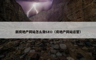 新房地产网站怎么做SEO（房地产网站运营）