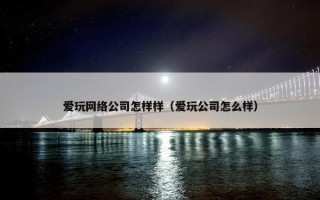爱玩网络公司怎样样（爱玩公司怎么样）