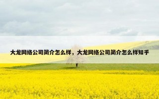 大龙网络公司简介怎么样，大龙网络公司简介怎么样知乎