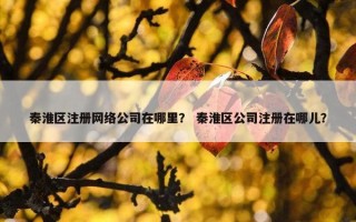 秦淮区注册网络公司在哪里？ 秦淮区公司注册在哪儿？
