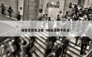 域名否实名注册（域名注册不实名）