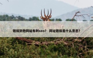 链接到他网站有利seo？ 网址链接是什么意思？