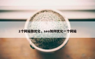 2个网站做优化，seo如何优化一个网站