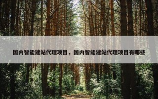 国内智能建站代理项目，国内智能建站代理项目有哪些