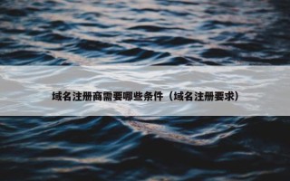 域名注册商需要哪些条件（域名注册要求）