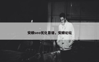 安顺seo优化靠谱，安顺论坛