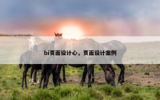 bi页面设计心，页面设计案例
