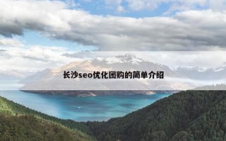 长沙seo优化团购的简单介绍