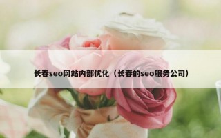 长春seo网站内部优化（长春的seo服务公司）