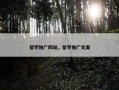 留学推广网站，留学推广文案