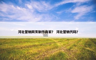 河北营销网页制作商家？ 河北营销代码？