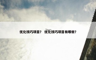优化技巧项目？ 优化技巧项目有哪些？