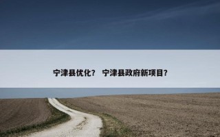 宁津县优化？ 宁津县政府新项目？