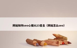 网站如何seo心细火23星去（网站怎么seo）
