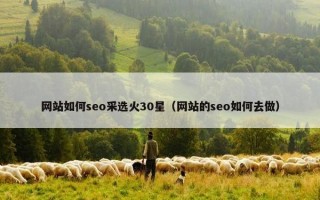 网站如何seo采选火30星（网站的seo如何去做）