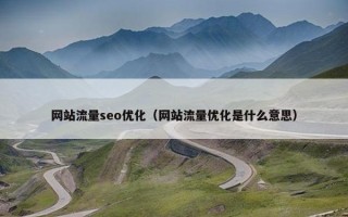 网站流量seo优化（网站流量优化是什么意思）